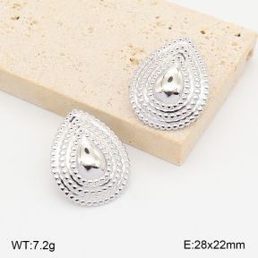2E2007418vbnl-775  Stainless Steel Earrings