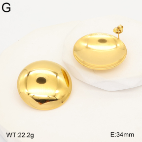 2E2007419vbpb-775  Stainless Steel Earrings