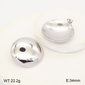 2E2007420vbnl-775  Stainless Steel Earrings