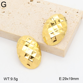 2E2007421abol-775  Stainless Steel Earrings