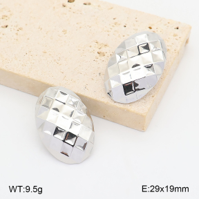 2E2007422vbnl-775  Stainless Steel Earrings