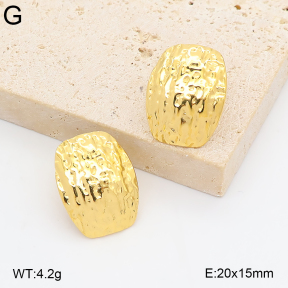 2E2007423abol-775  Stainless Steel Earrings