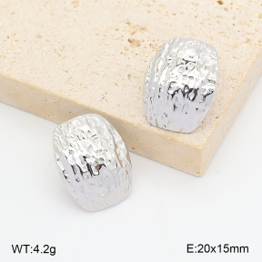 2E2007424vbnb-775  Stainless Steel Earrings