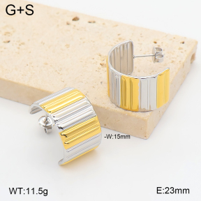 2E2007425vhhl-775  Stainless Steel Earrings