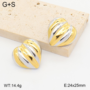 2E2007427vhhl-775  Stainless Steel Earrings