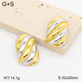 2E2007428vhhl-775  Stainless Steel Earrings