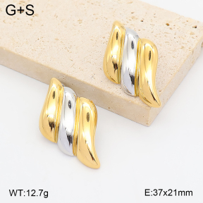 2E2007429vhhl-775  Stainless Steel Earrings