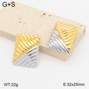 2E2007430vhhl-775  Stainless Steel Earrings