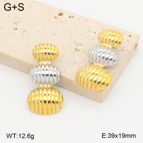 2E2007431vhhl-775  Stainless Steel Earrings