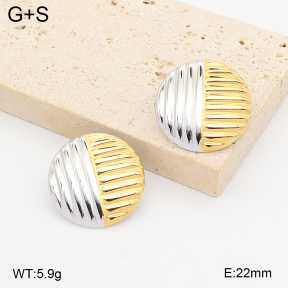 2E2007432bhbl-775  Stainless Steel Earrings