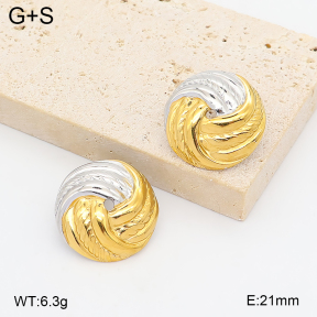 2E2007433bhbl-775  Stainless Steel Earrings