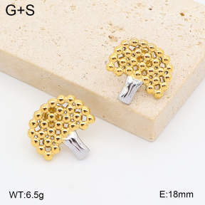 2E2007434vhhl-775  Stainless Steel Earrings