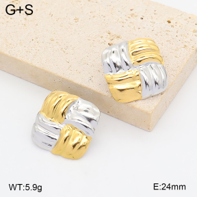 2E2007435bhbl-775  Stainless Steel Earrings
