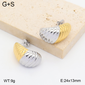 2E2007436vhhl-775  Stainless Steel Earrings