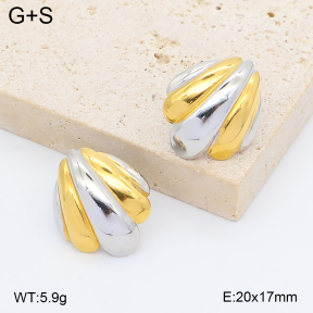 2E2007437vhhl-775  Stainless Steel Earrings