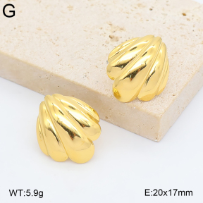 2E2007438abol-775  Stainless Steel Earrings