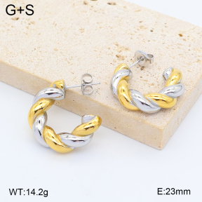 2E2007439vhhl-775  Stainless Steel Earrings