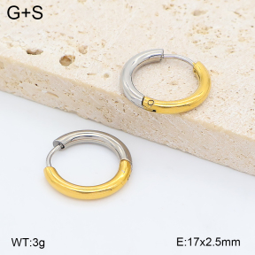 2E2007440vbnb-775  Stainless Steel Earrings