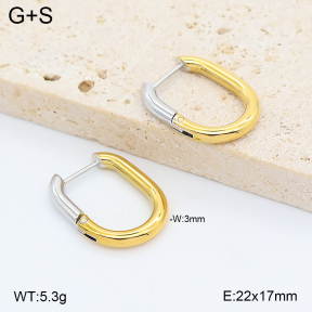 2E2007441vbpb-775  Stainless Steel Earrings