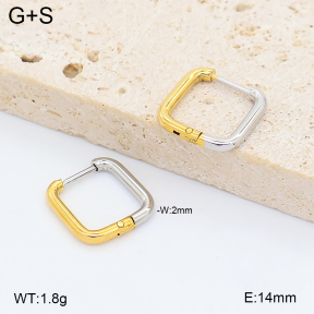 2E2007442vbnb-775  Stainless Steel Earrings