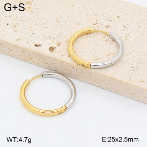 2E2007443vbnb-775  Stainless Steel Earrings