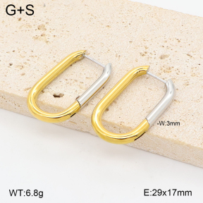 2E2007445vbpb-775  Stainless Steel Earrings
