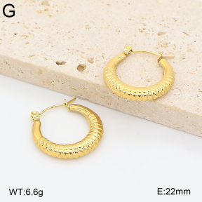 2E2007446bbov-775  Stainless Steel Earrings