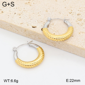 2E2007447vhha-775  Stainless Steel Earrings