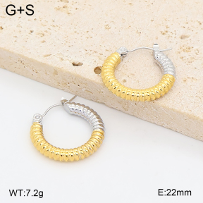 2E2007448vhha-775  Stainless Steel Earrings