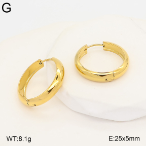 2E2007449vbnl-775  Stainless Steel Earrings