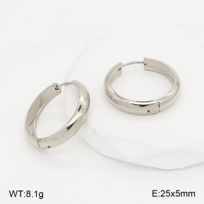 2E2007450bbml-775  Stainless Steel Earrings
