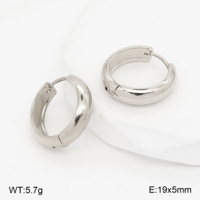 2E2007454vbmb-775  Stainless Steel Earrings