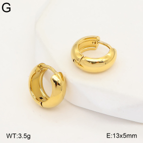 2E2007457bbml-775  Stainless Steel Earrings
