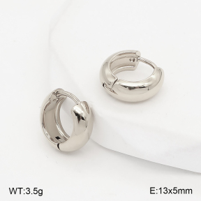 2E2007458vbll-775  Stainless Steel Earrings