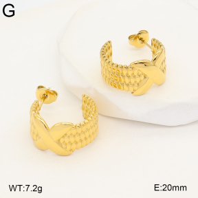 2E2007459vbpb-775  Stainless Steel Earrings