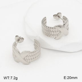 2E2007460vbnl-775  Stainless Steel Earrings