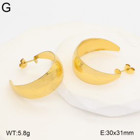 2E2007461bvpl-775  Stainless Steel Earrings