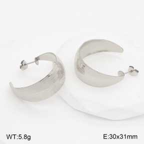 2E2007462bbov-775  Stainless Steel Earrings