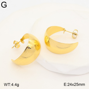 2E2007463bvpl-775  Stainless Steel Earrings