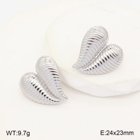 2E2007466abol-775  Stainless Steel Earrings