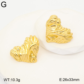 2E2007467abol-775  Stainless Steel Earrings
