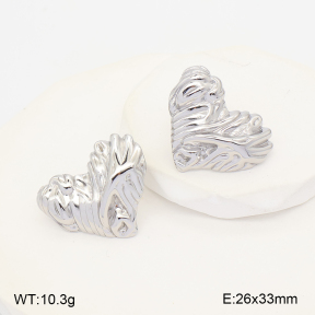 2E2007468vbnb-775  Stainless Steel Earrings