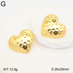 2E2007469abol-775  Stainless Steel Earrings