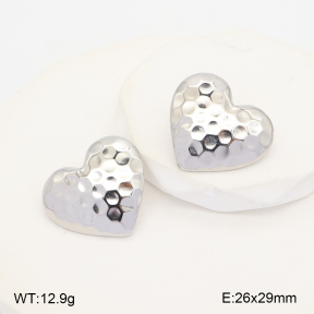 2E2007470vbnb-775  Stainless Steel Earrings