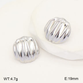 2E2007471vbmb-775  Stainless Steel Earrings