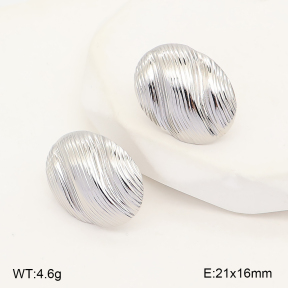2E2007472vbmb-775  Stainless Steel Earrings