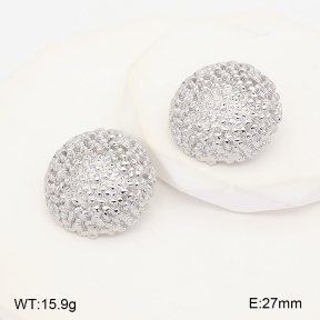 2E2007473bbml-775  Stainless Steel Earrings