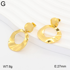 2E2007476bhjl-775  Stainless Steel Earrings