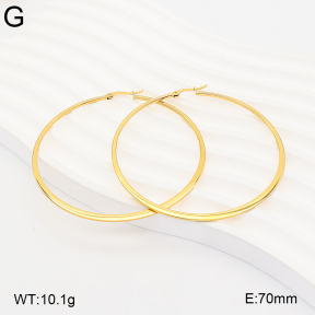 2E2007477baka-775  Stainless Steel Earrings
