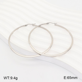 2E2007478avja-775  Stainless Steel Earrings